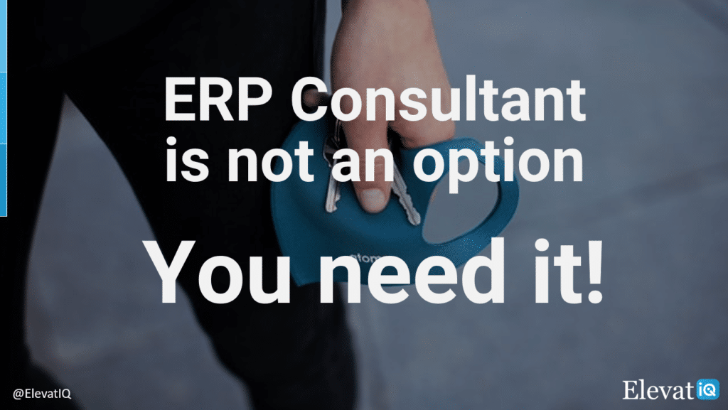 ERP Consultant Is Not An Option | ElevatIQ