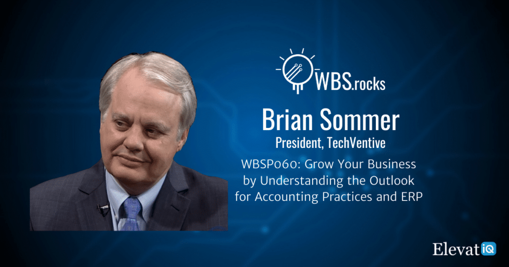 ERP Expert Witness w/ Brian Sommer