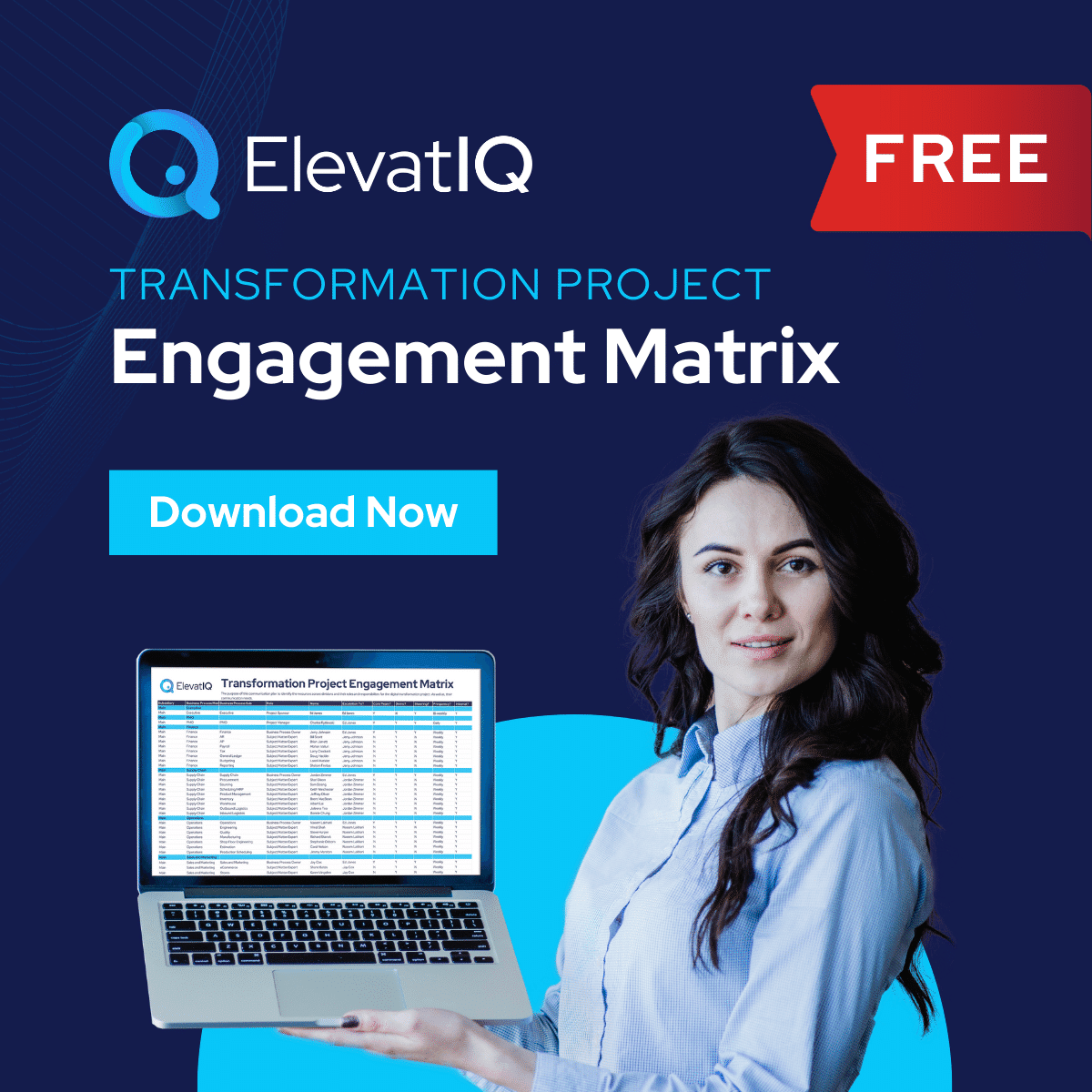 Digital Transformation Project Engagement Matrix