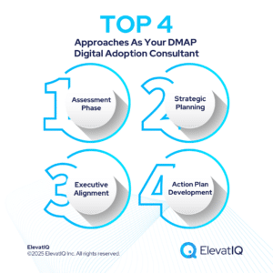 DMAP Digital Adoption Consultant