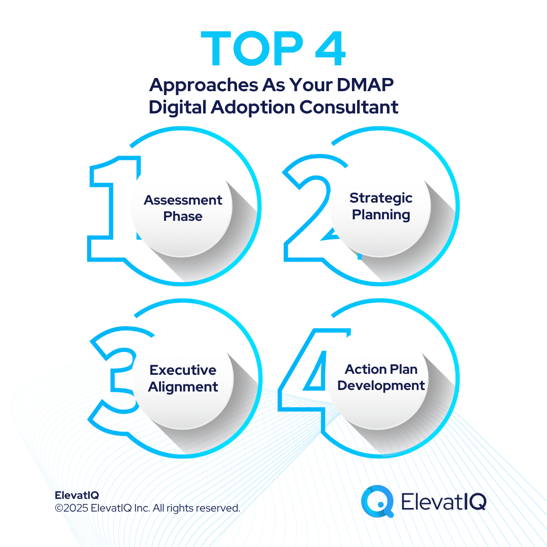 Digital Adoption Consultant Guide For DMAP Grant