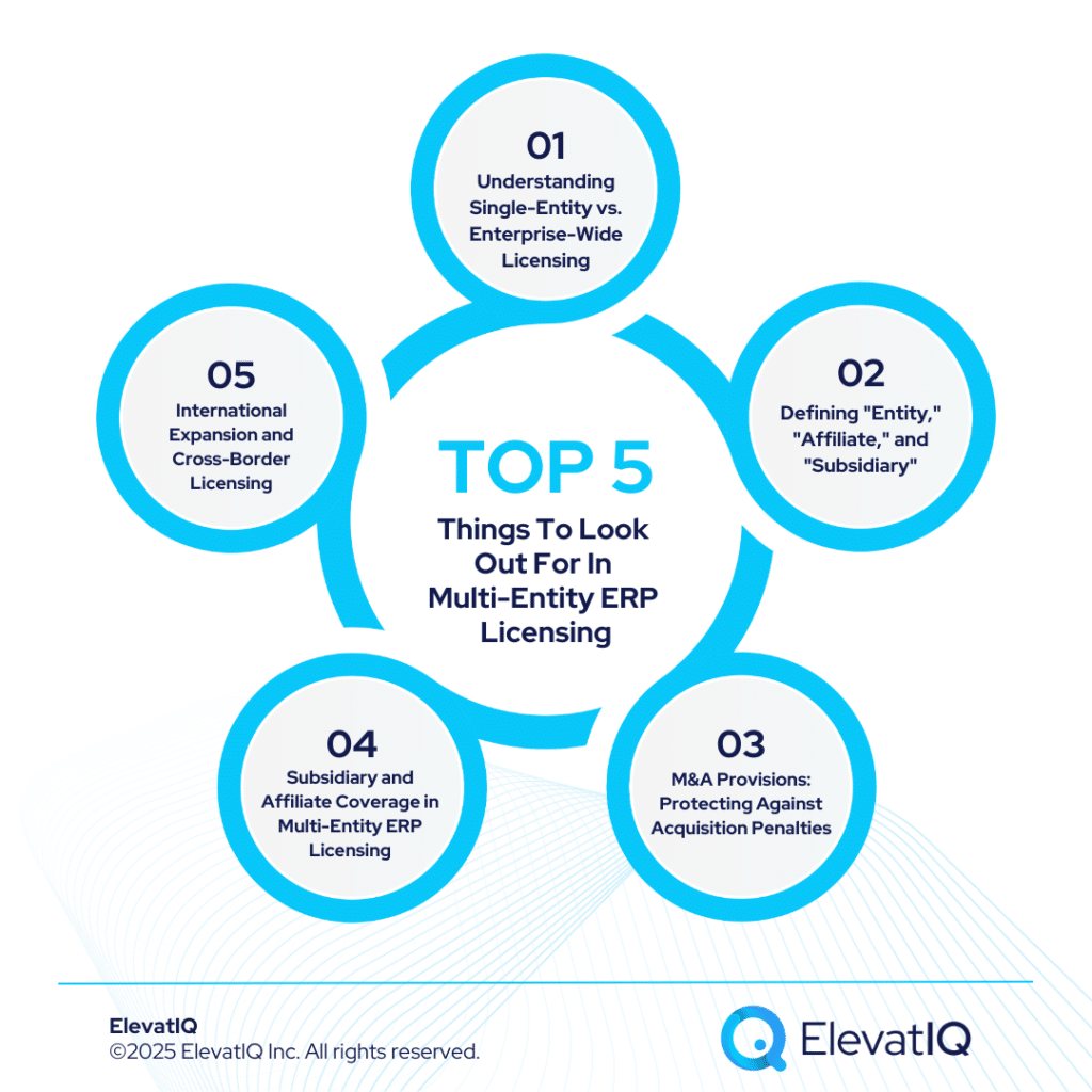 Multi-Entity ERP Licensing: Global Deployment Contract Strategies