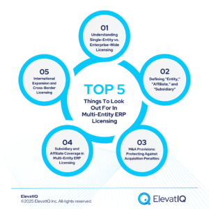 Multi-Entity ERP Licensing: Global Deployment Contract Strategies