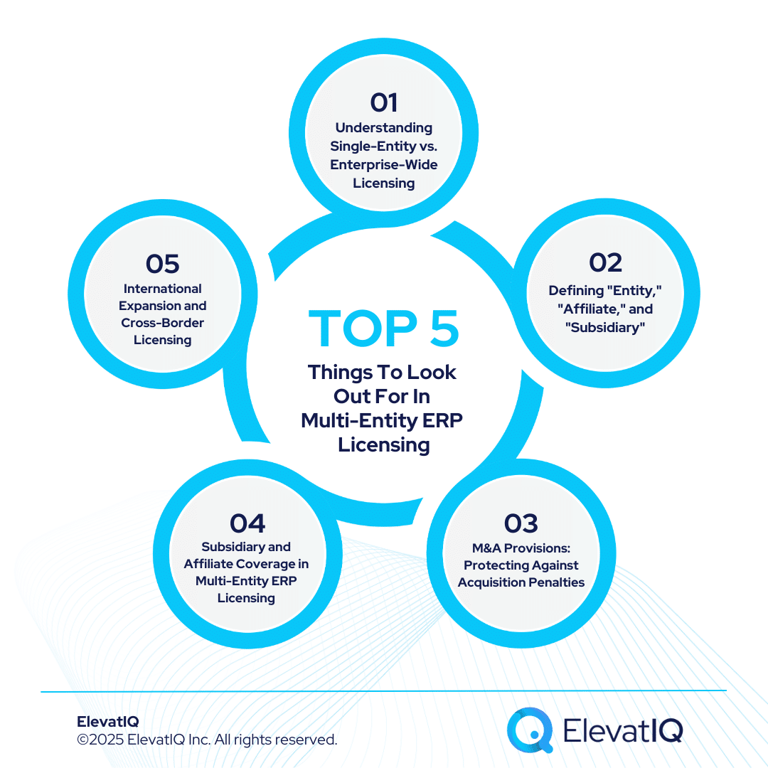 Multi-Entity ERP Licensing: Global Deployment Contract Strategies